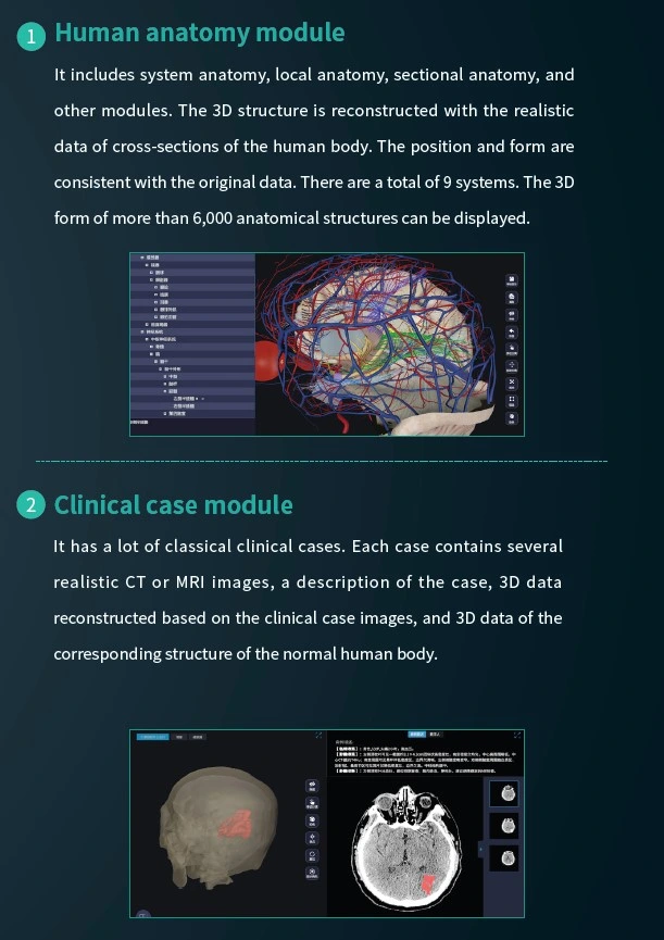 Factory Price New Virtual Autopsy 3D Medical for School Digital Anatomy Table