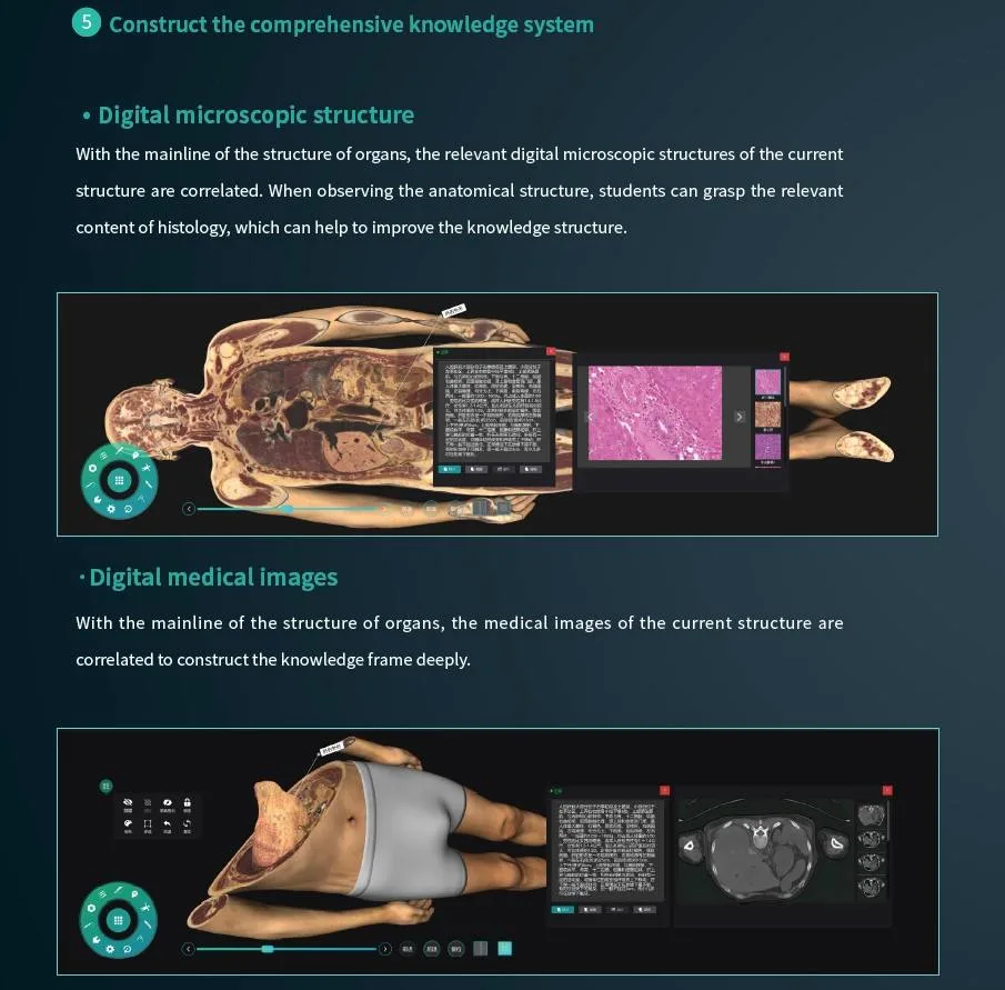 High Quality Autopsy Anatomage Education 3D Medical for School Virtual Anatomy Table