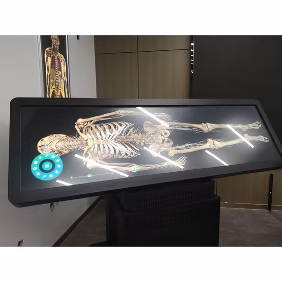 Tabela virtual da autópsia do corpo do Anatomage 3D do sistema da anatomia humana de Digitas da forma nova