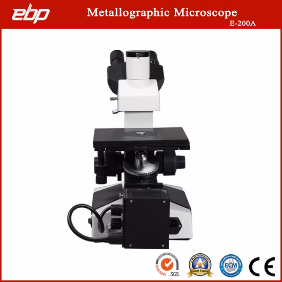 Microscópio óptico de amostra metalográfica invertida Trinocular